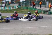 20110501_ales_agnus (2458)